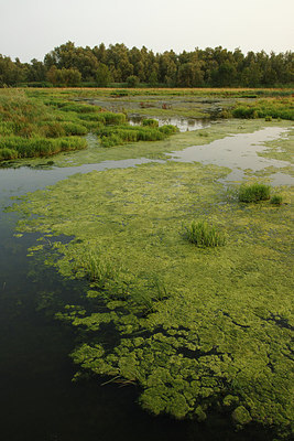 BUITEN BEELD Foto: 281265