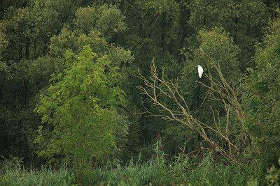BUITEN BEELD Foto: 281283