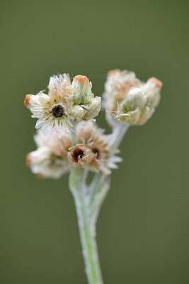 BUITEN BEELD Foto: 281365