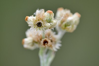 BUITEN BEELD Foto: 281366