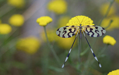 BUITEN BEELD Foto: 281378