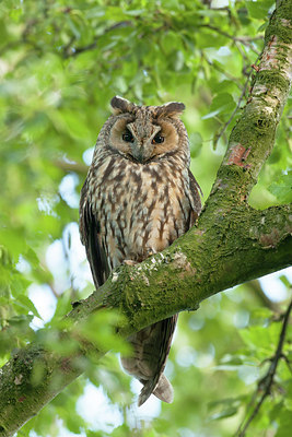 BUITEN BEELD Foto: 281601