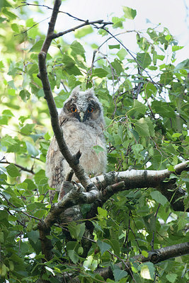 BUITEN BEELD Foto: 281602