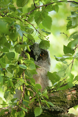 BUITEN BEELD Foto: 281603
