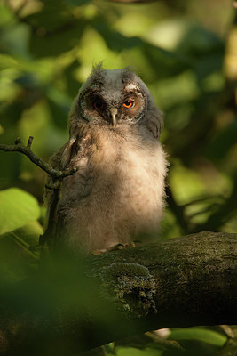 BUITEN BEELD Foto: 281604