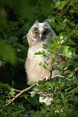 BUITEN BEELD Foto: 281605