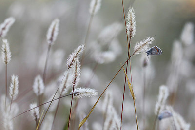 BUITEN BEELD Foto: 281618