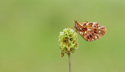 BUITEN BEELD Foto: 281642