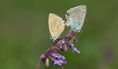 BUITEN BEELD Foto: 281645