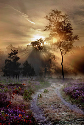 BUITEN BEELD Foto: 281699