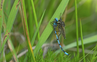 BUITEN BEELD Foto: 281701