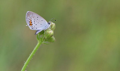 BUITEN BEELD Foto: 281746