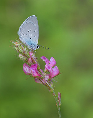 BUITEN BEELD Foto: 281750