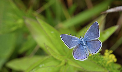 BUITEN BEELD Foto: 281762
