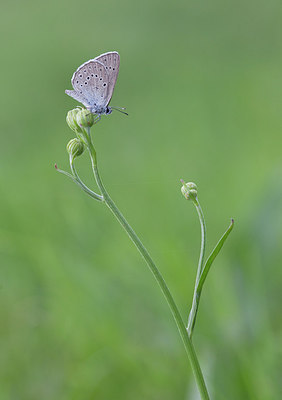 BUITEN BEELD Foto: 281769