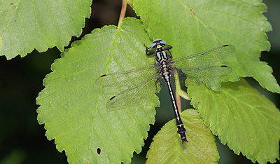 BUITEN BEELD Foto: 281806