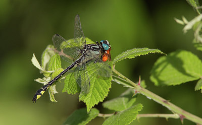 BUITEN BEELD Foto: 281807
