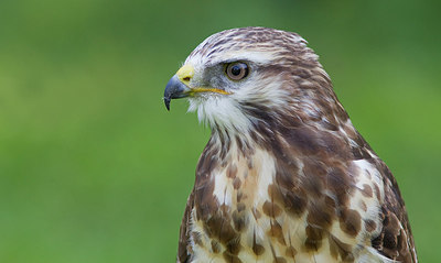 BUITEN BEELD Foto: 281853