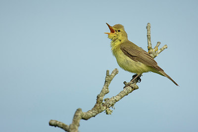 BUITEN BEELD Foto: 281871