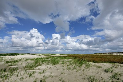 BUITEN BEELD Foto: 281915