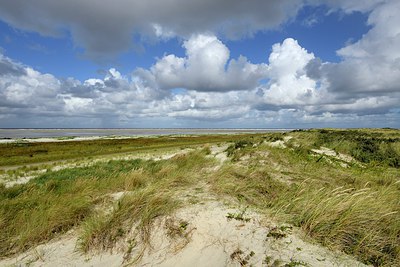 BUITEN BEELD Foto: 281916