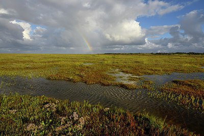 BUITEN BEELD Foto: 281925