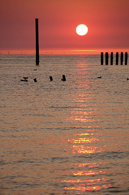 BUITEN BEELD Foto: 282031