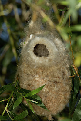 BUITEN BEELD Foto: 282052