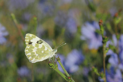 BUITEN BEELD Foto: 282068