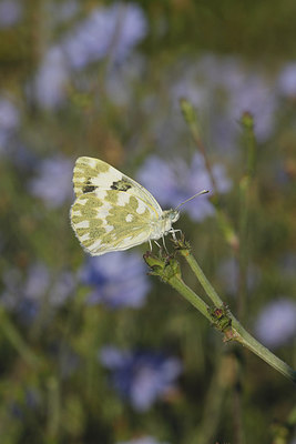 BUITEN BEELD Foto: 282069