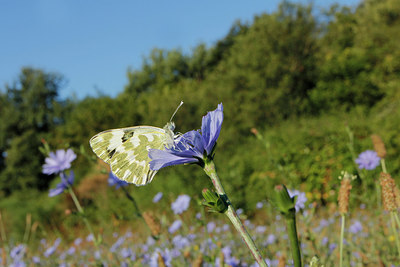 BUITEN BEELD Foto: 282071