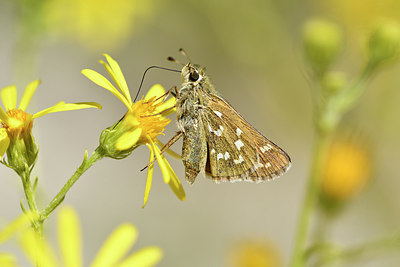 BUITEN BEELD Foto: 282080