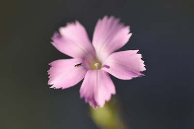 BUITEN BEELD Foto: 282089