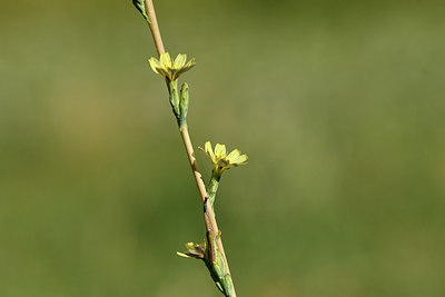 BUITEN BEELD Foto: 282105
