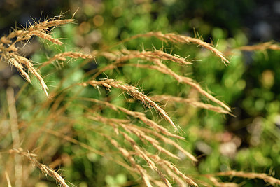 BUITEN BEELD Foto: 282119