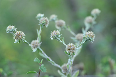 BUITEN BEELD Foto: 282151