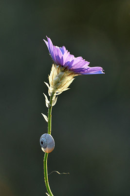 BUITEN BEELD Foto: 282171