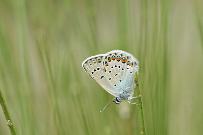 BUITEN BEELD Foto: 282204