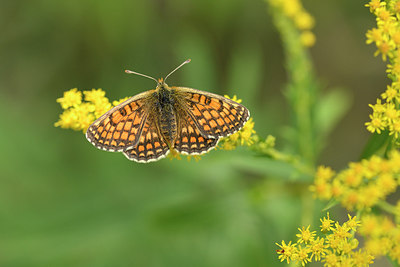 BUITEN BEELD Foto: 282222
