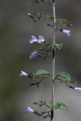 BUITEN BEELD Foto: 282257