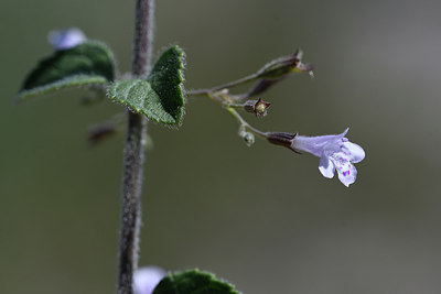 BUITEN BEELD Foto: 282259