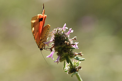 BUITEN BEELD Foto: 282270