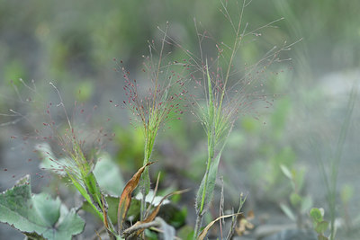 BUITEN BEELD Foto: 282285