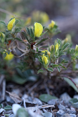 BUITEN BEELD Foto: 282305