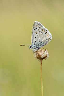 BUITEN BEELD Foto: 282306