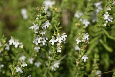 BUITEN BEELD Foto: 282377