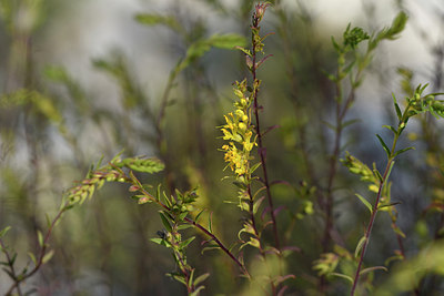 BUITEN BEELD Foto: 282385