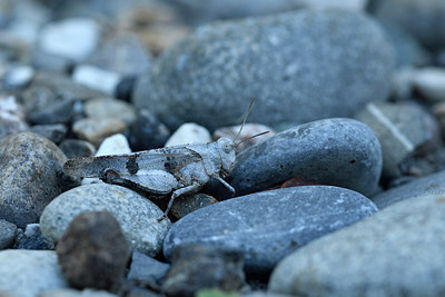 BUITEN BEELD Foto: 282423