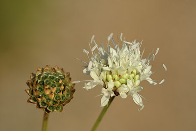 BUITEN BEELD Foto: 282430