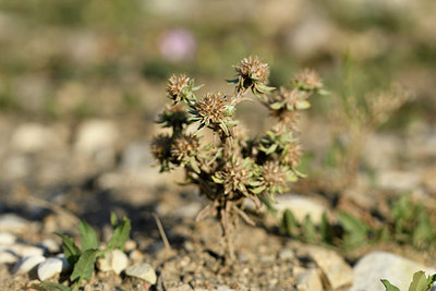 BUITEN BEELD Foto: 282442